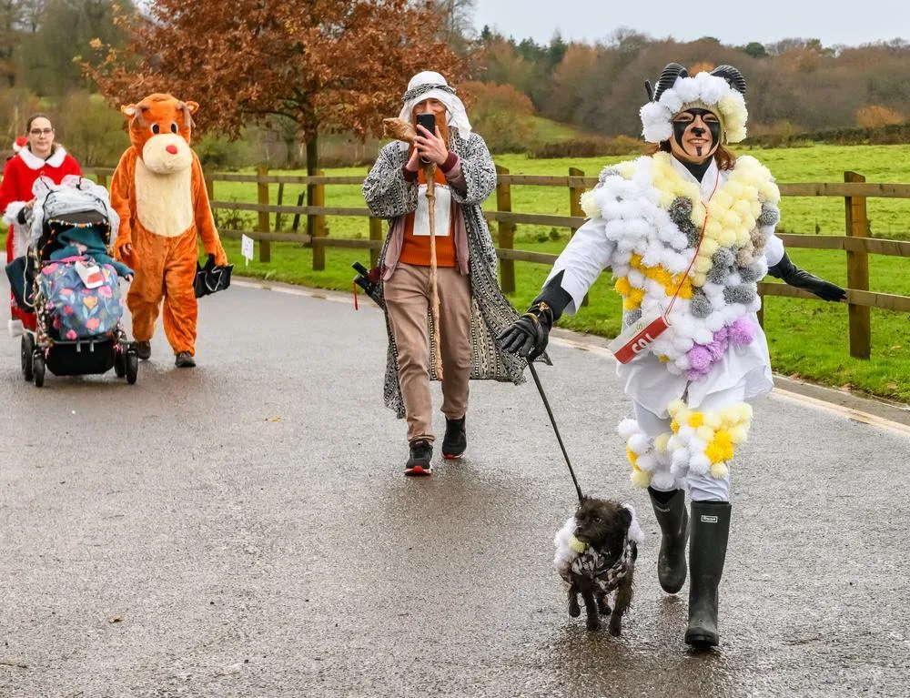 A walker in a costume covered in white pompoms leads a small dog on a path, with a person in an orange reindeer costume pushing a buggy behind